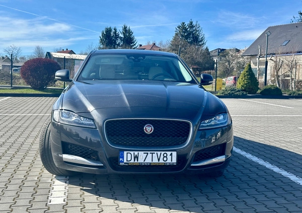 Jaguar XF cena 80000 przebieg: 115509, rok produkcji 2016 z Kraków małe 704